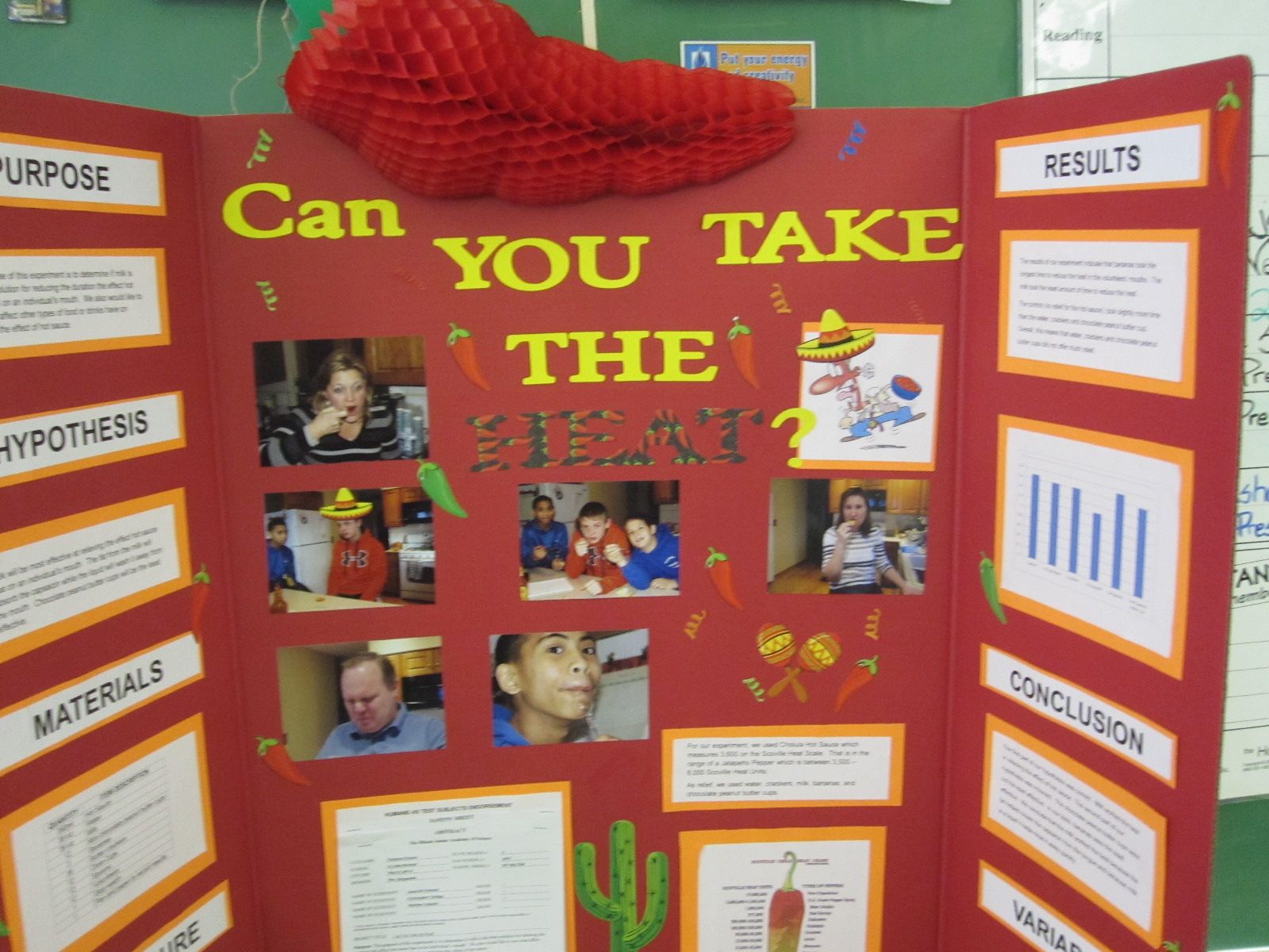 Featured image of post 2Nd Grade Science Fair Projects Examples