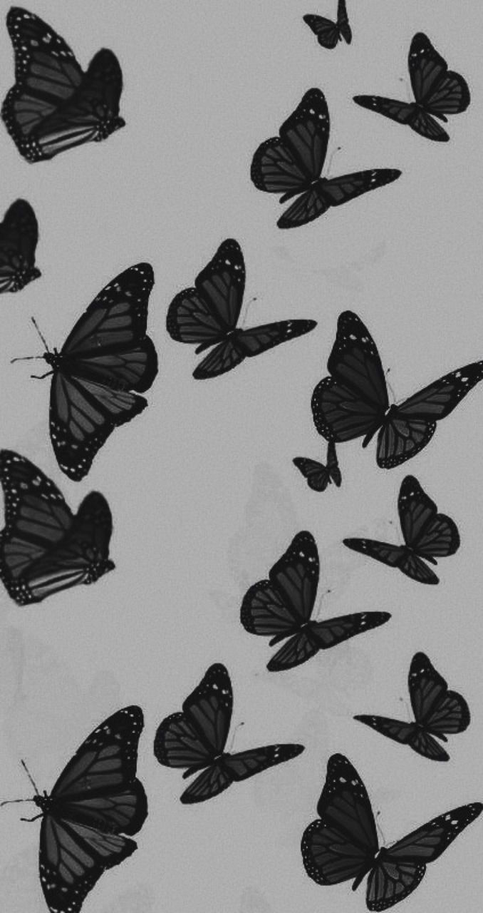 Featured image of post Aesthetic Wallpapers Butterfly Black And White