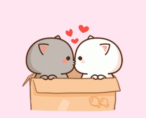 Featured image of post Animation Cat Kiss Gif