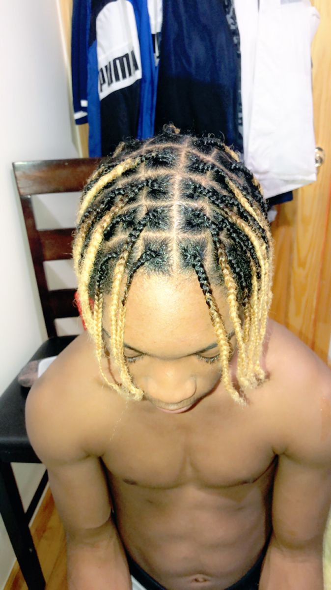 Featured image of post Blonde Braids Men Black