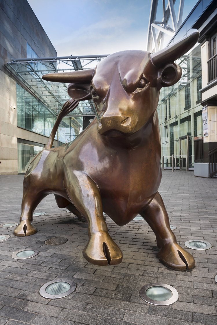 Featured image of post Bullring Bull Birmingham