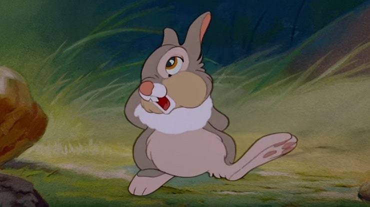 Featured image of post Conigli Dei Cartoni Animati
