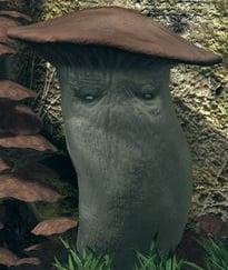 Featured image of post Dark Souls Elizabeth Mushroom