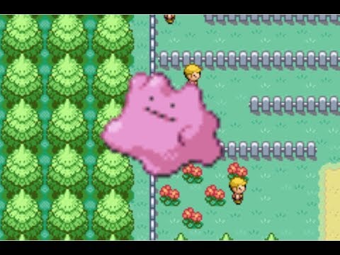 Featured image of post Ditto Breeding Fire Red