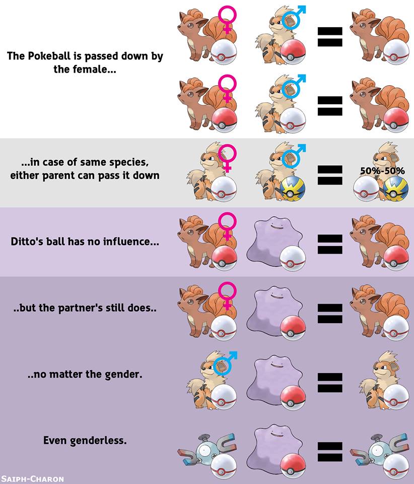 Featured image of post Ditto Breeding Pokeball