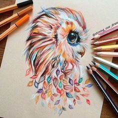 images Easy Beginners Easy Colored Pencil Drawing Ideas color pencil drawing