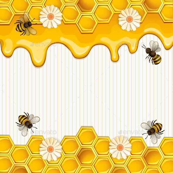 Featured image of post Honey Bee Background Clipart
