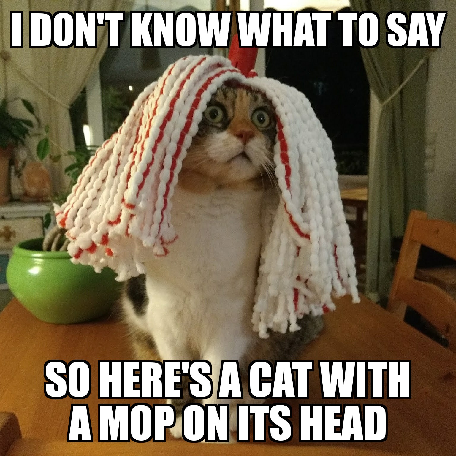 Featured image of post I Don T Know What To Say Meme
