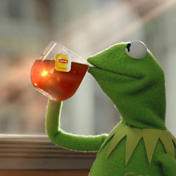 Featured image of post Kermit Sipping Tea Meme Generator