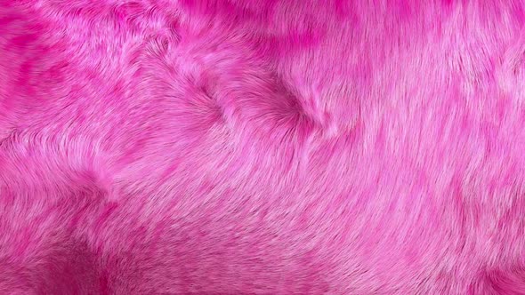 Featured image of post Pink Furry Background