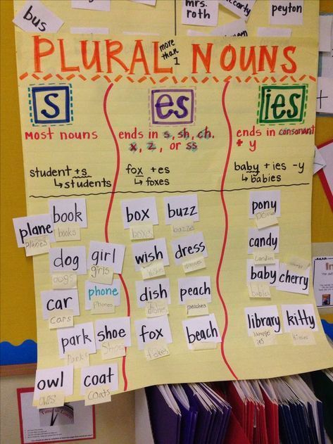 Featured image of post Plural Nouns Anchor Chart 1St Grade