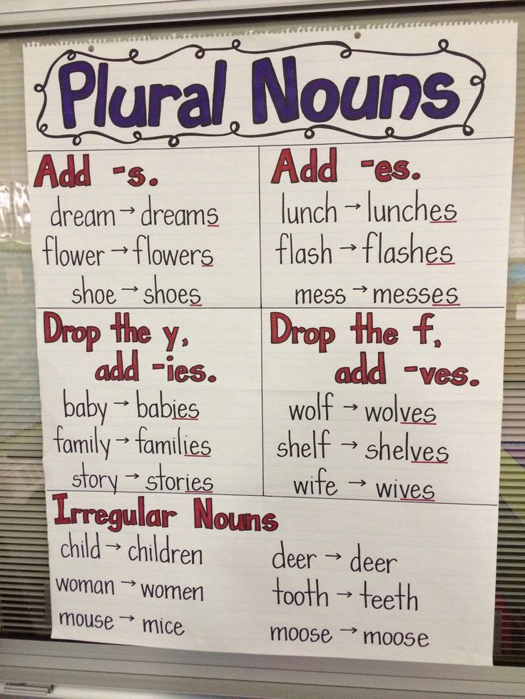 Featured image of post Plural Nouns Anchor Chart