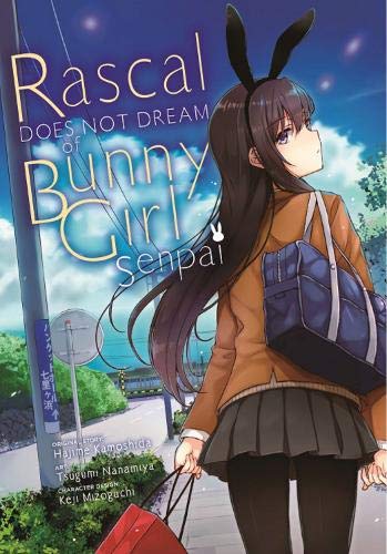 Featured image of post Rascal Does Not Dream Of Bunny Senpai Manga