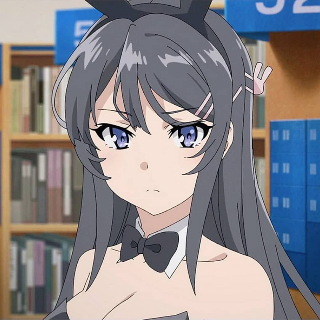 Featured image of post Rascal Does Not Dream Of Bunny Senpai Pfp