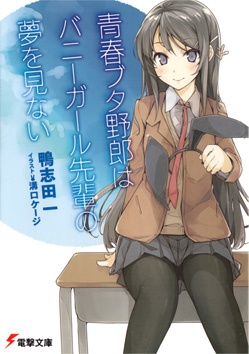 Featured image of post Rascal Does Not Dream Of Bunny Senpai