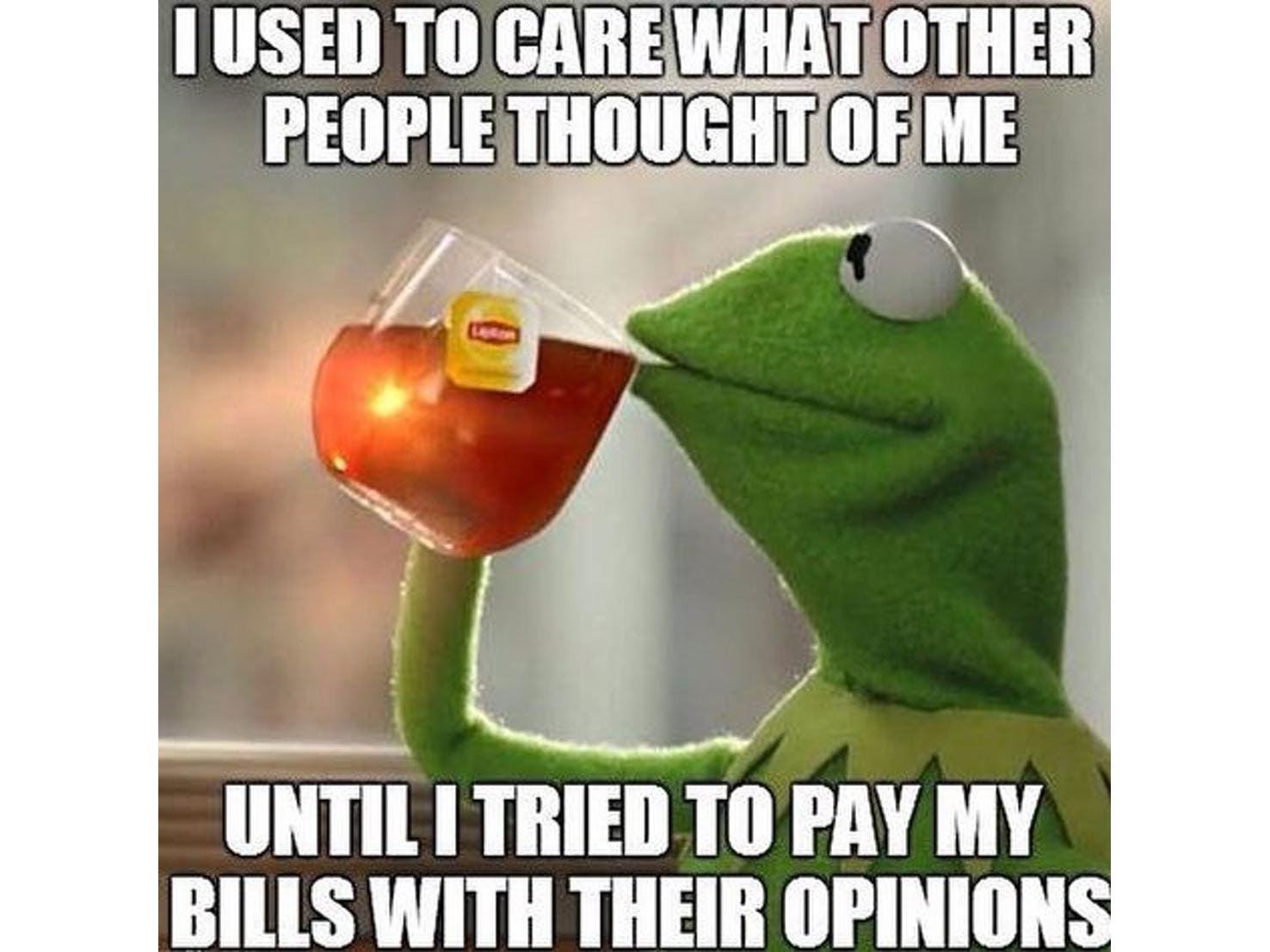 Featured image of post Sipping Tea Funny Kermit Memes