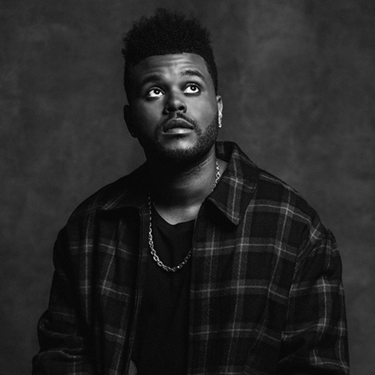 Featured image of post The Weeknd Background Information