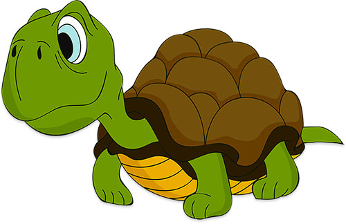 Featured image of post Turtle Gif Clipart