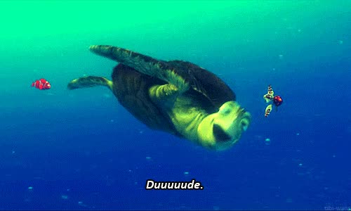 Featured image of post Turtle Gif Finding Nemo