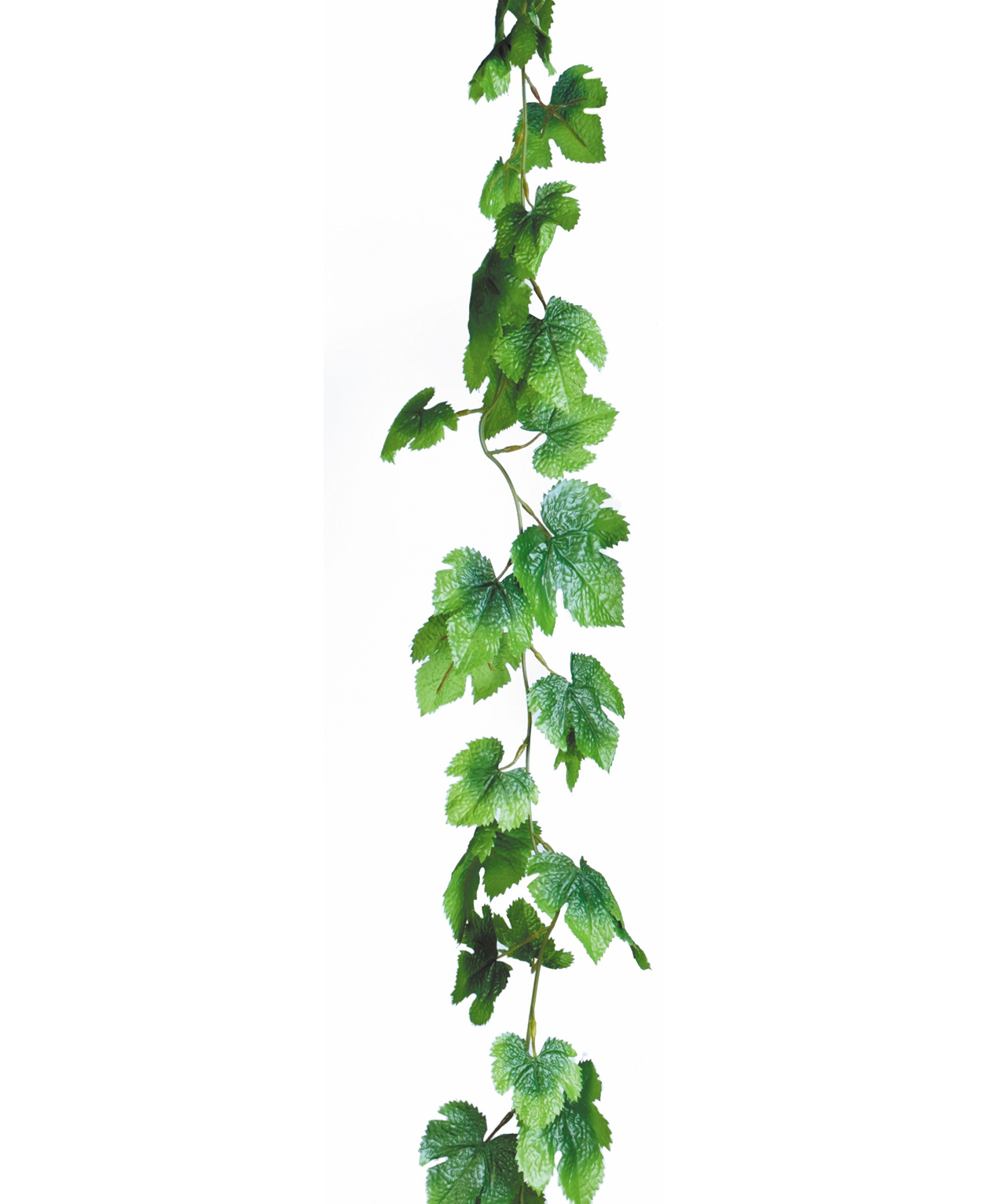 Featured image of post Vines For Room Png