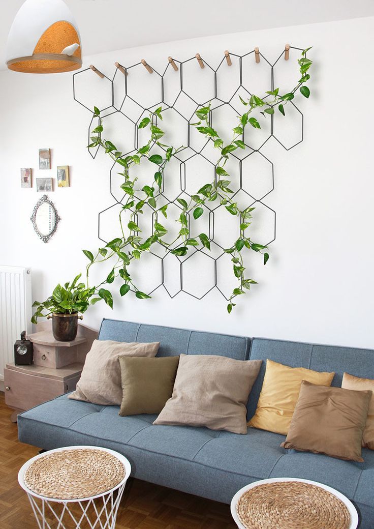 Featured image of post Vines For Room Real