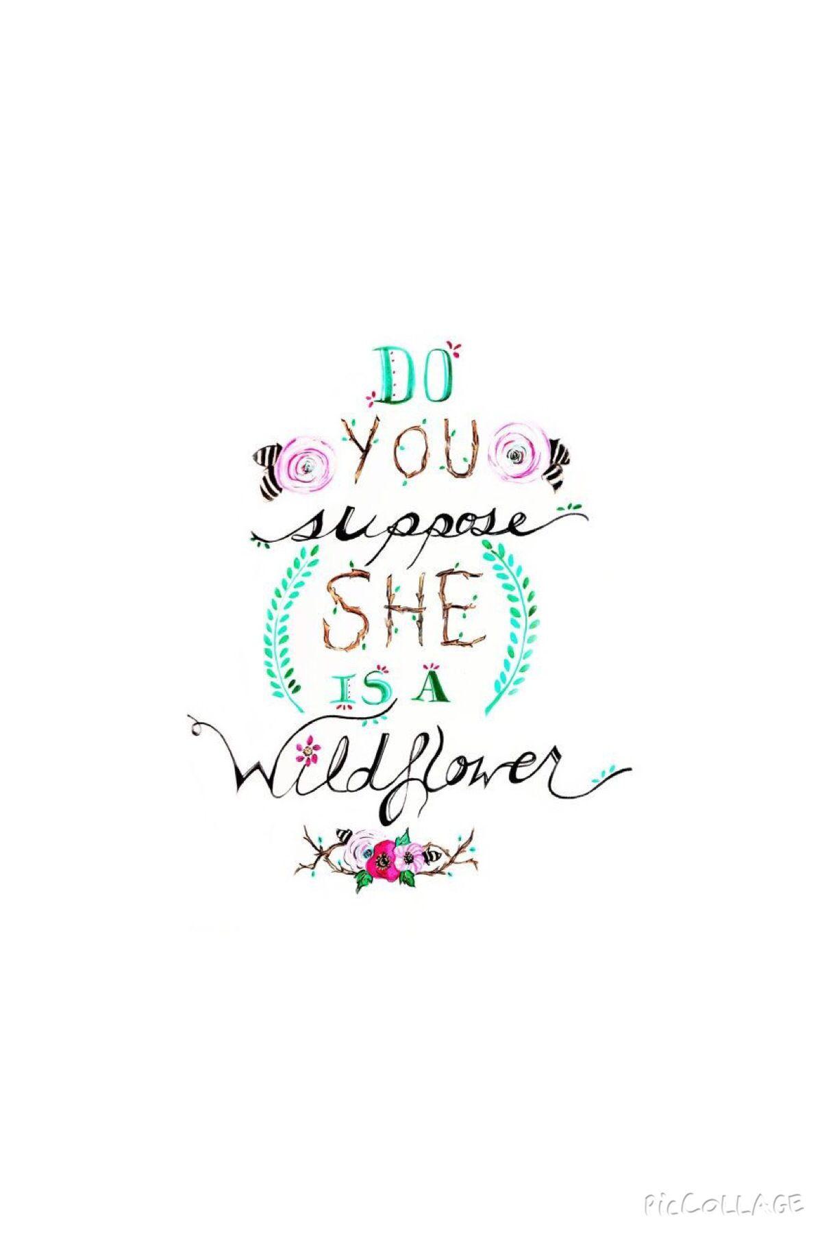 Featured image of post Wallpaper Trippy Alice In Wonderland Quotes
