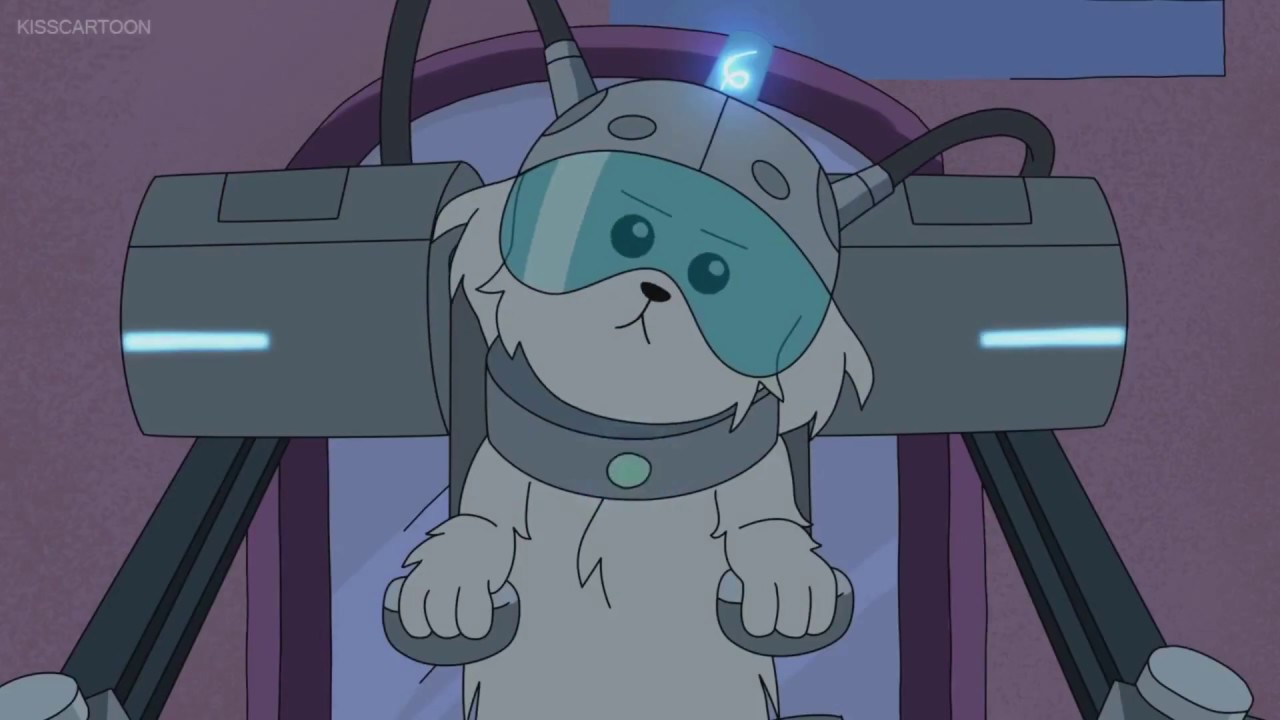 Featured image of post Where Are My Balls Jerry