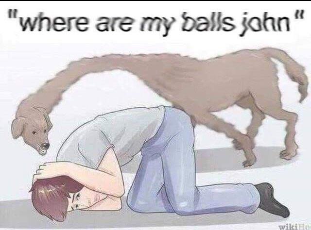 Featured image of post Where Are My Balls Meme